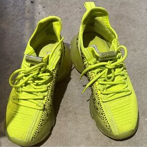 Steve Madden Maxima  Sneakers